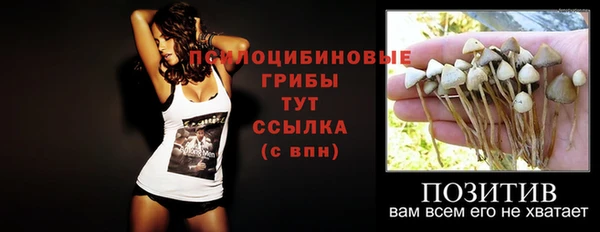 твердый Балахна