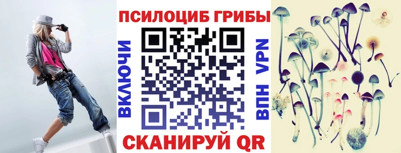 что такое   гидра ССЫЛКА  Галлюциногенные грибы мицелий  Вилючинск 